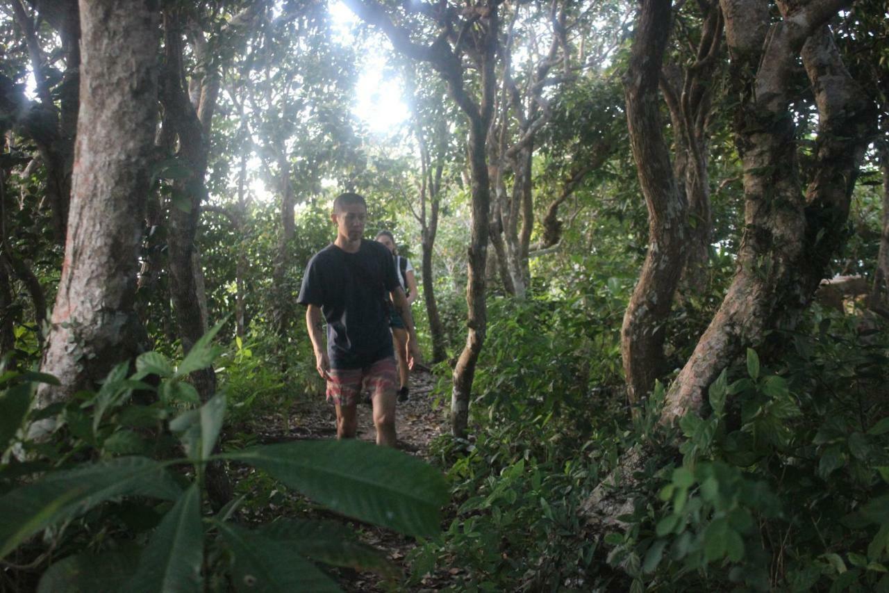 Black Wood Vandrehjem Koh Tao Eksteriør billede